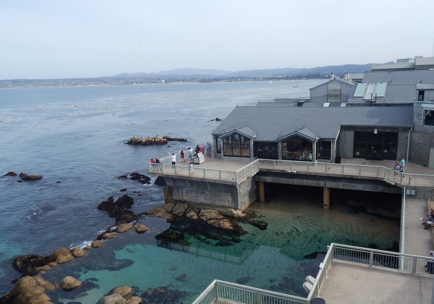 Aquário Monterey